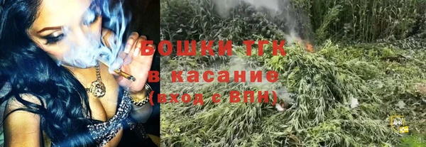 PSILOCYBIN Новодвинск