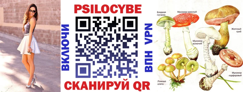 Псилоцибиновые грибы мицелий Спасск-Рязанский